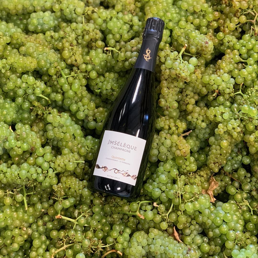 Deovlet Wines hero image